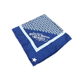 Classic Navy/Light Blue Scarf